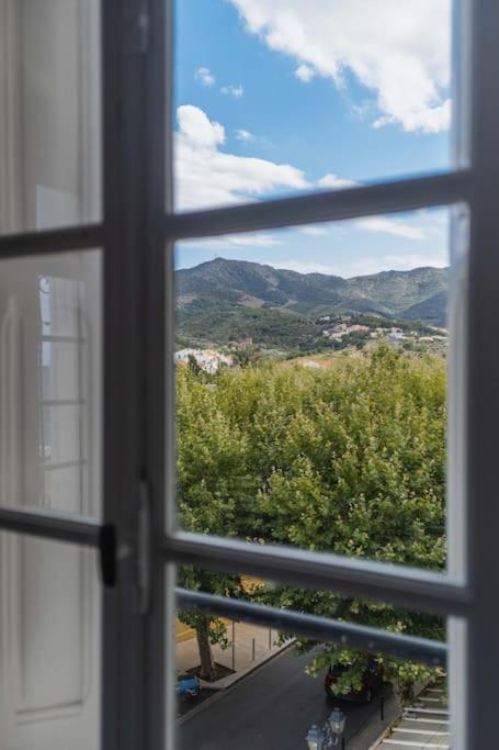 Regina's Banyuls - Exklusiv lägenhet med havsvy - Deluxe Apartment - 17