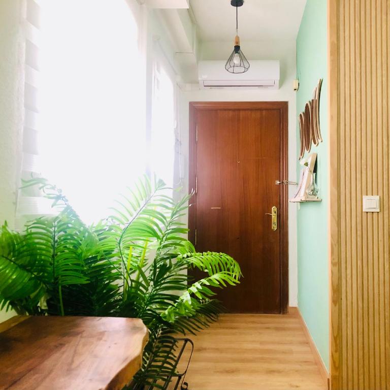 Rinconcito Malagueño Centro Ciudad Histórico - Apartamento de 1 dormitorio - 17