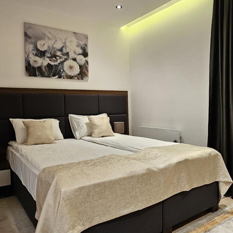 Ice Dream Apartmani - Studio with Balcony - 1