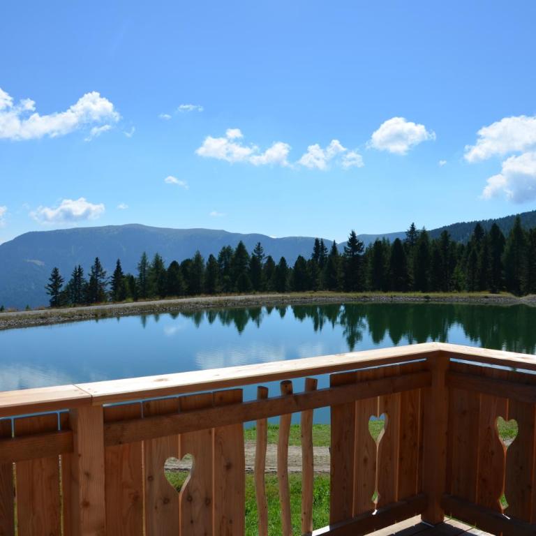 Riegleralm - Ferienhaus - 8