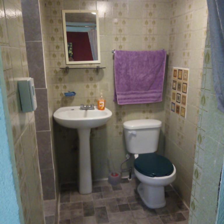 Casa Azul Aragon - Habitación Doble con baño privado - 2 camas - 6