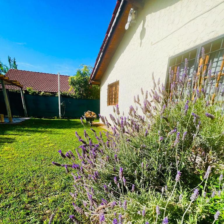 La casa de Luis - Casa de 3 dormitorios - 15