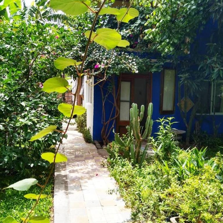 La paloma en Edén I - Apartamento de 1 dormitorio - 6