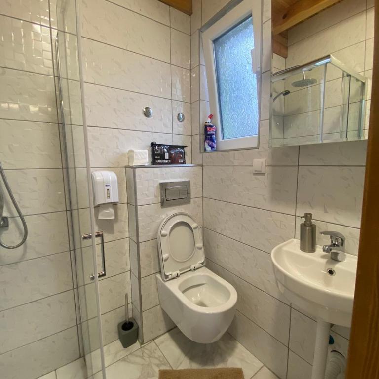 Apartmani kod Pančevca - Apartman na Više Nivoa - 6