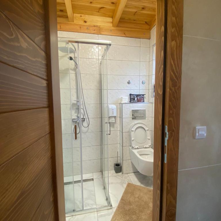 Apartmani kod Pančevca - Apartman na Više Nivoa - 5