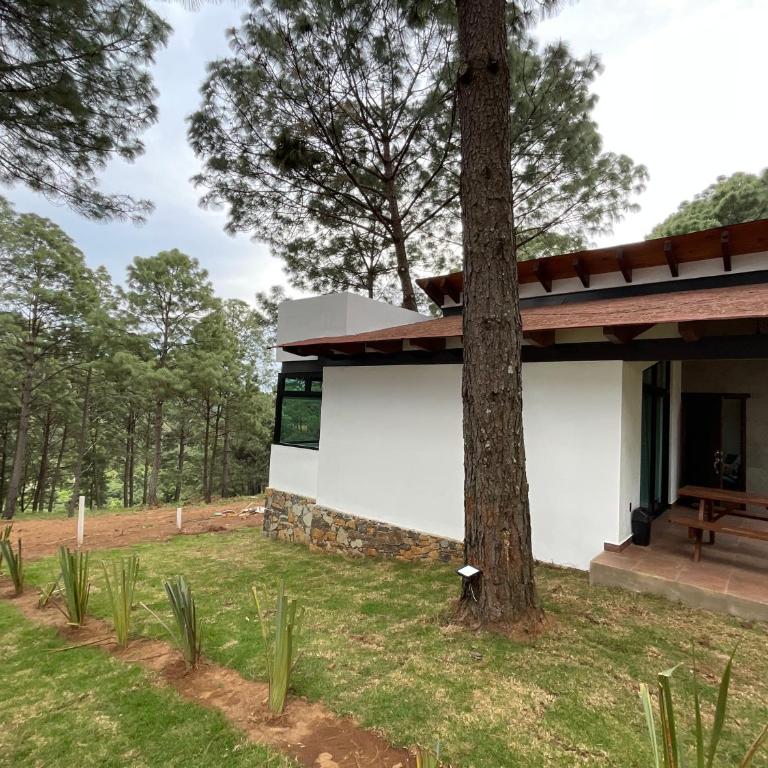 Las Nubes - Chalet de 1 dormitorio - 1