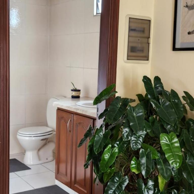 Lujosa Casa en Centro de Santa Cruz - Apartamento - 6