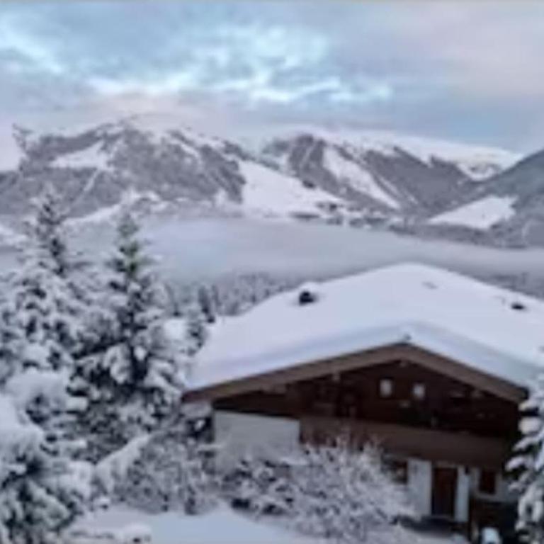 Zillertal-Arena 42m2 (2-6 persons: 2adults +4kids) - Apartment mit 1 Schlafzimmer - 20