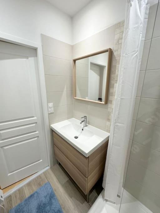 Magnifique T2 35m2 Prox Gare - Appartement 1 Chambre - 12