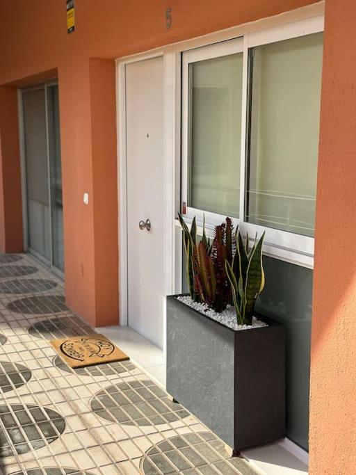 Arena suite - Apartamento de 1 dormitorio - 22