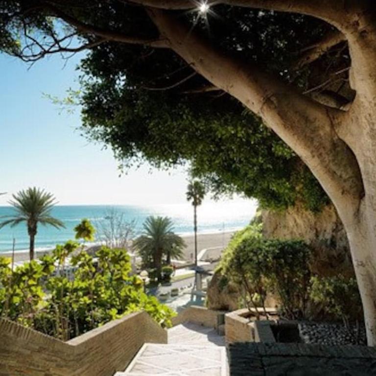 Arena suite - Apartamento de 1 dormitorio - 36