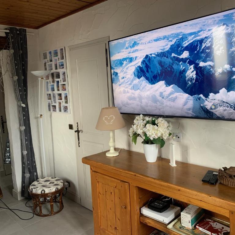 LES TOURISTES - Appartement 1 Chambre - 24