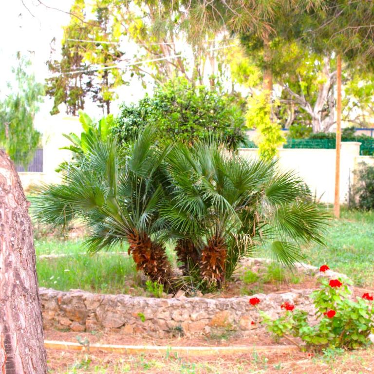 Villa Costanza - Three-Bedroom House - 31