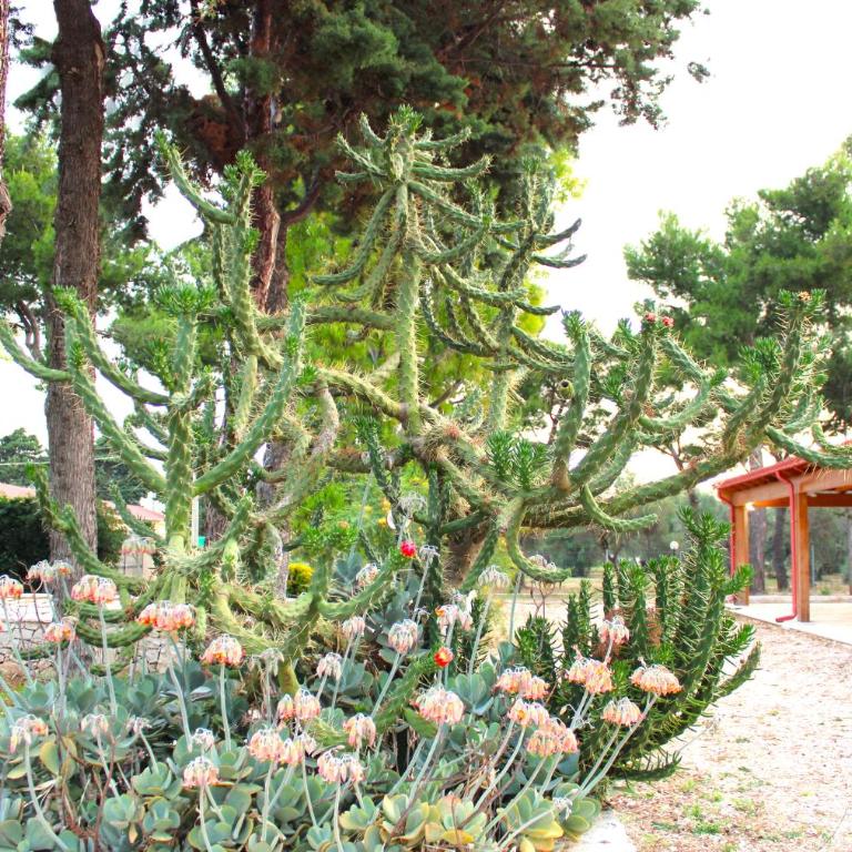 Villa Costanza - Three-Bedroom House - 69