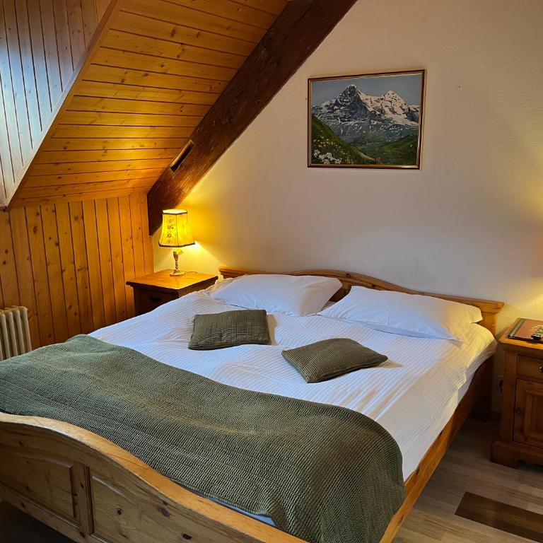 Historic Hotel Steinbock - Doppelzimmer mit Bergblick - 6