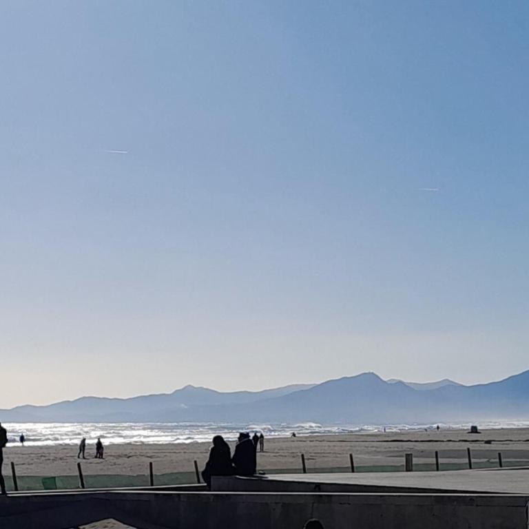Canet-Plage TERRASSE SUD A 50M DE LA plage - Appartement 1 Chambre - 32