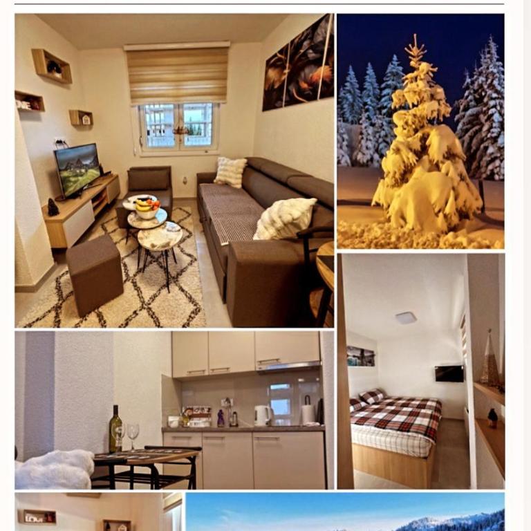 Beggy Jahorina - Apartman sa 1 Spavaćom Sobom - 13