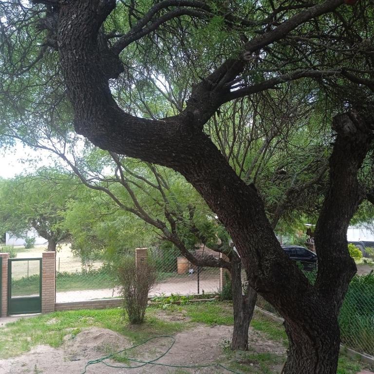 Piquillin San Lorenzo - Three-Bedroom House - 9