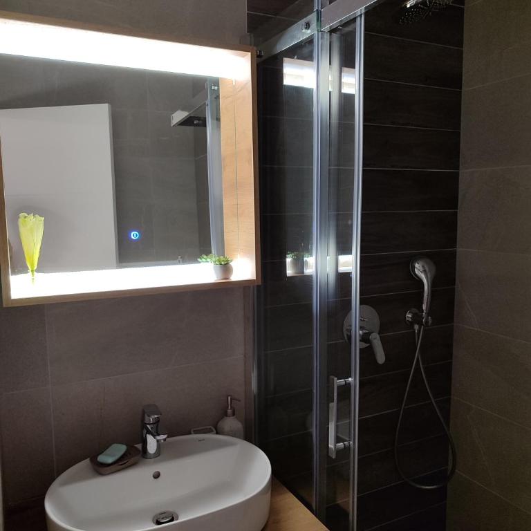 Tuzlanska Panonica - Apartman sa 1 Spavaćom Sobom - 4