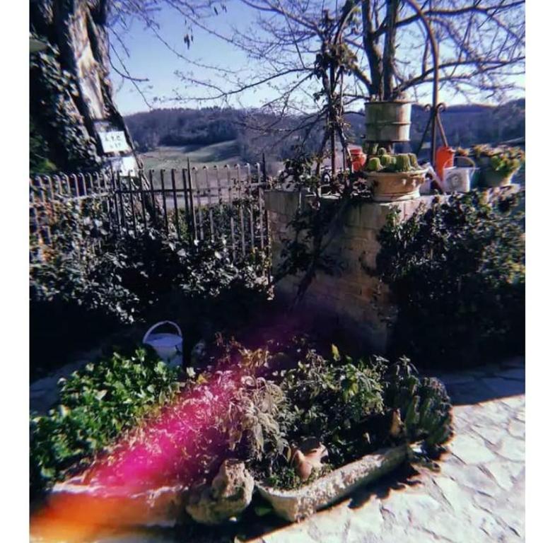 La Casina di Ancicucco 1 - Appartamento con 1 Camera da Letto - 28
