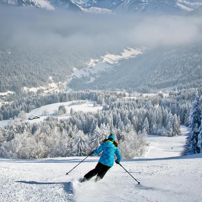 CHAMPS DE LA PLAGNE B10 - Studio-Apartment - 9