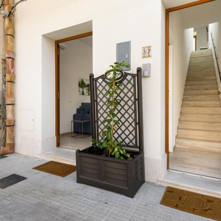 Bedda Luna Apartments - Appartamento - Piano Terra - 1