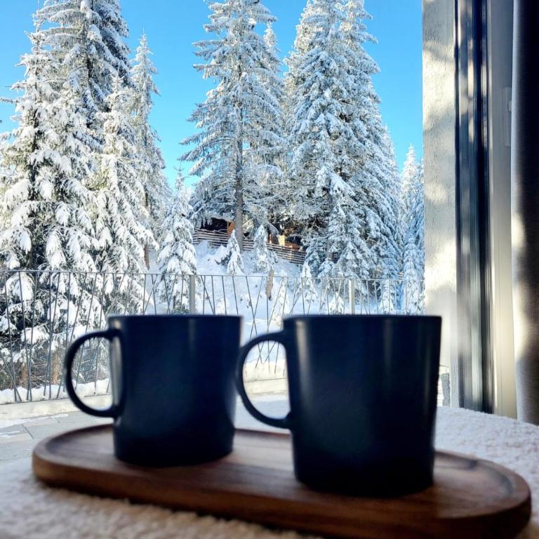 GO Jahorina by Olympic Gardens - One-Bedroom Apartment with Garden - 6