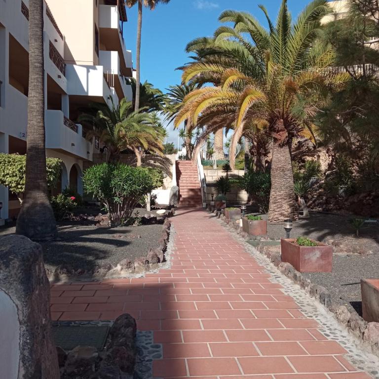 Las Meninas Tenerife - Casa - 4