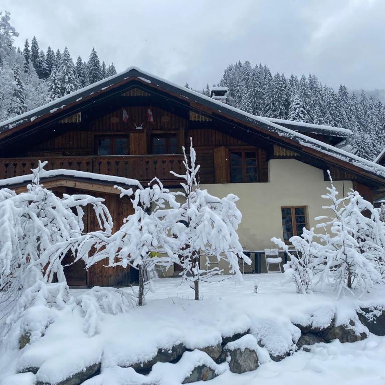 Joyeux Flocon - Spacieux chalet - Chalet - 2