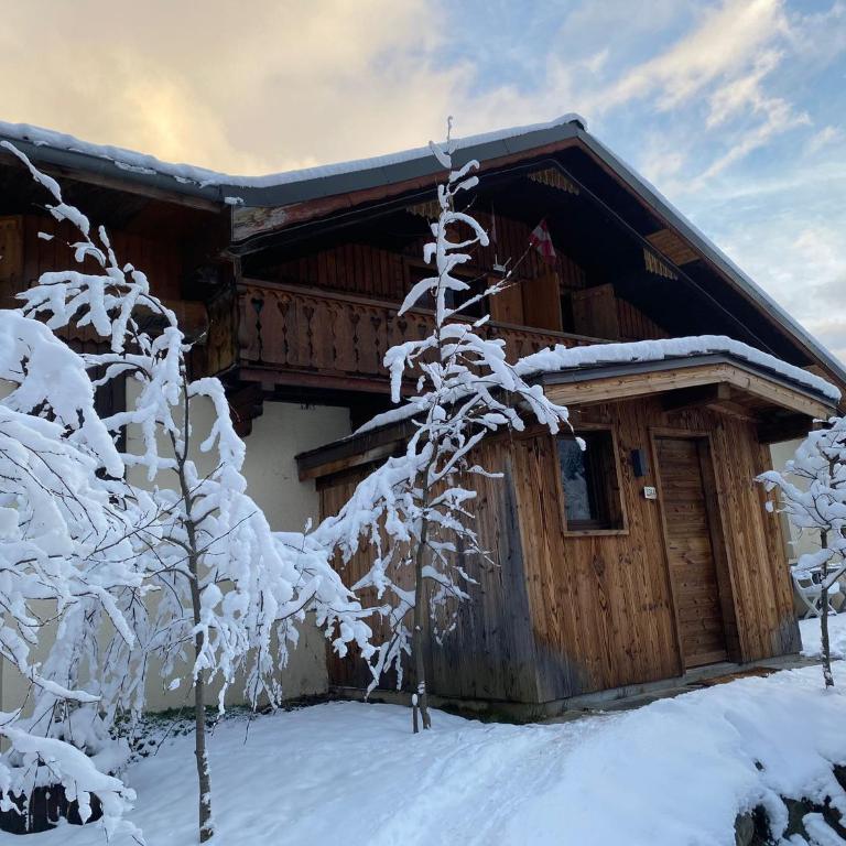 Joyeux Flocon - Spacieux chalet - Chalet - 4