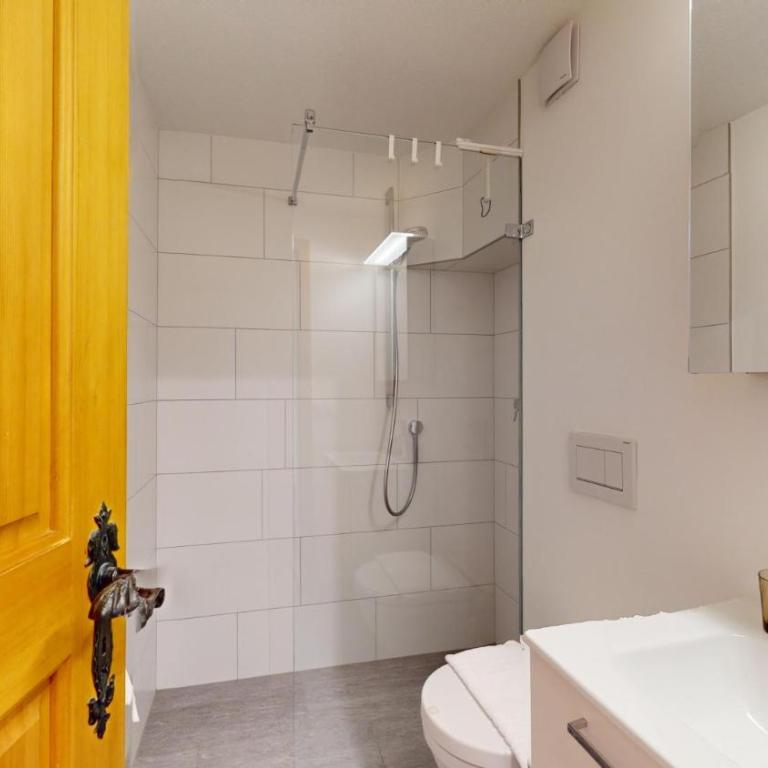 Abitaziun Aivla 1 - Celerina - Apartment mit Terrasse - 11