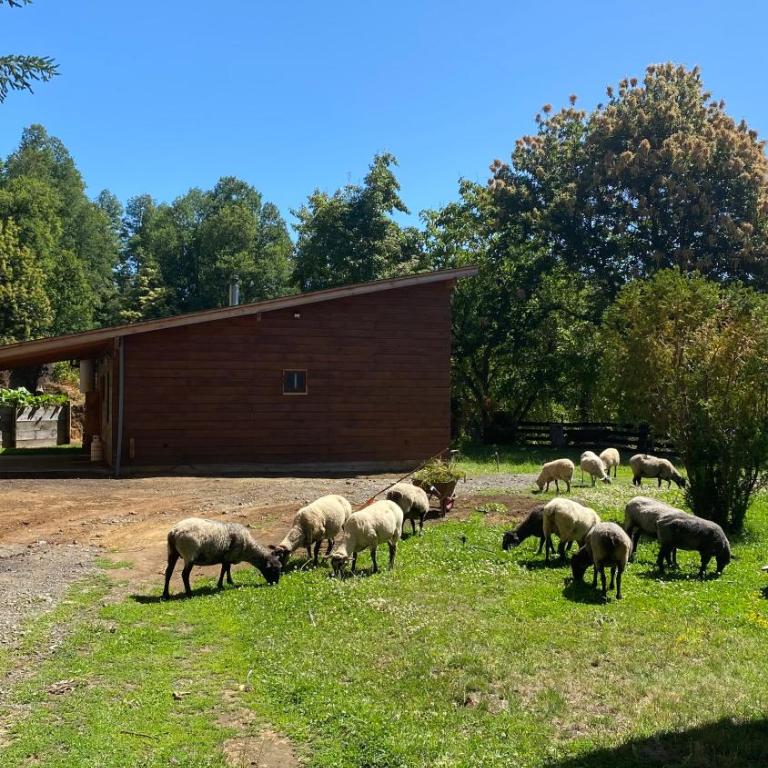 Cabaña Rústica - Sector Pichares - Three-Bedroom Chalet - 24