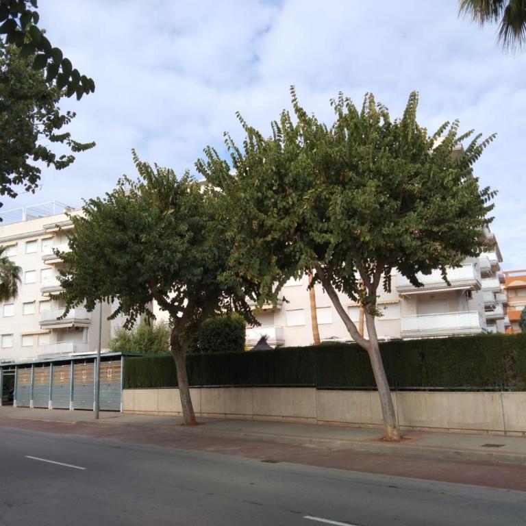 APARTAMENTO PLANTA BAJA CANET DE BERENGUER - Apartamento de 2 dormitorios - 50