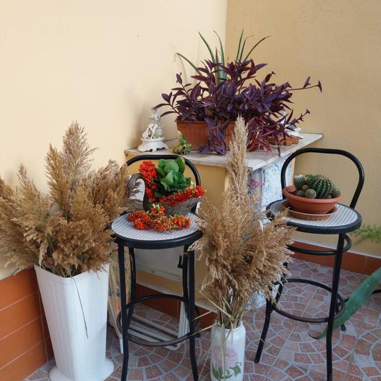 Il giardino di Marimar - Appartamento con 1 Camera da Letto - 14