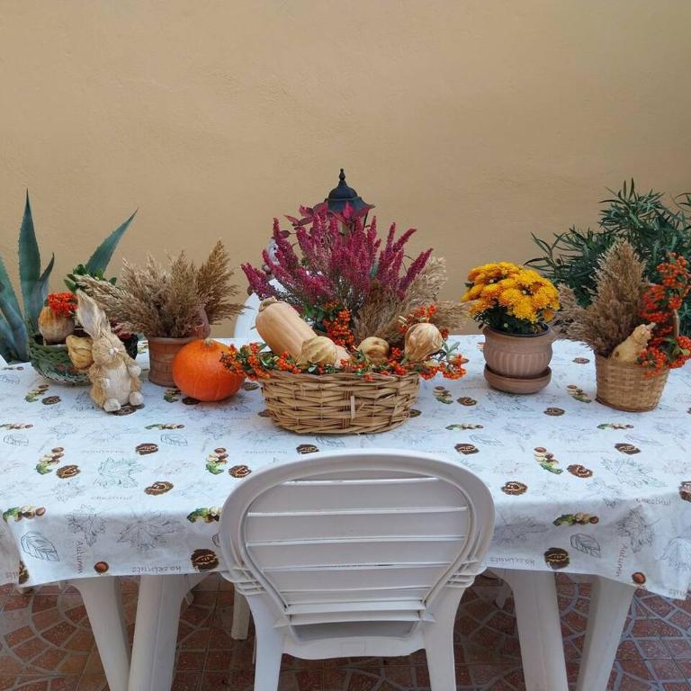Il giardino di Marimar - Appartamento con 1 Camera da Letto - 19