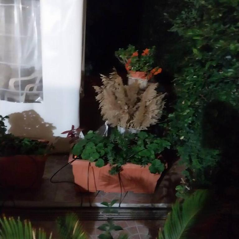 Il giardino di Marimar - Appartamento con 1 Camera da Letto - 23