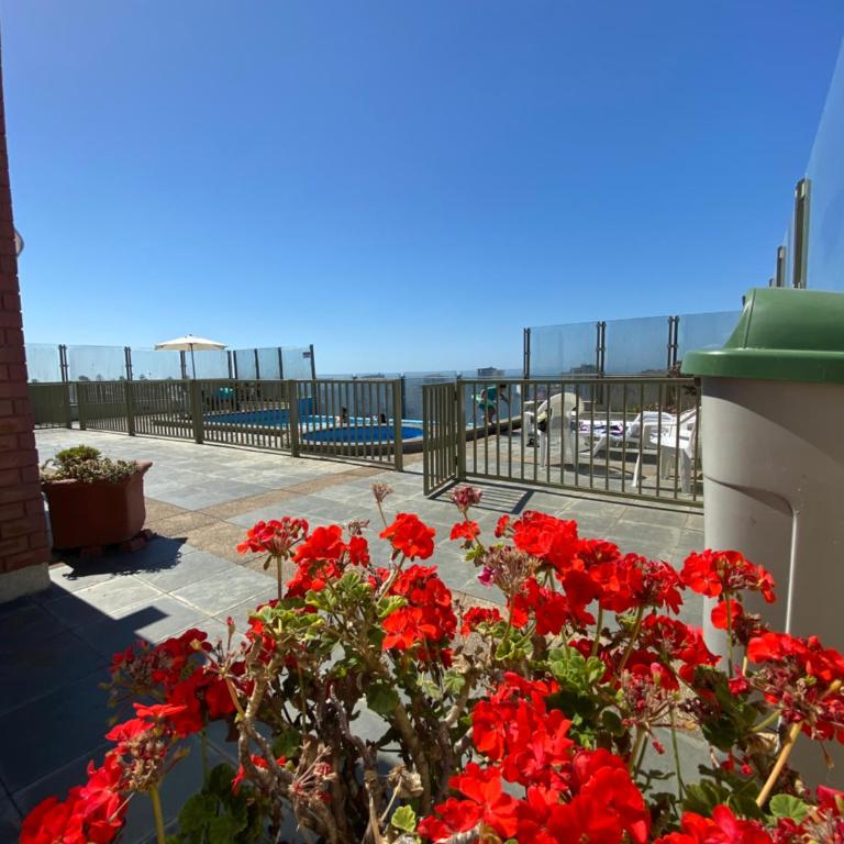 Departamento Viña Park - Three-Bedroom Apartment - 20