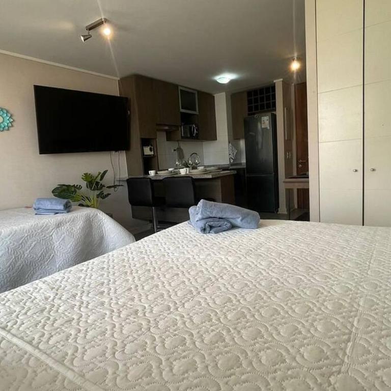8 Apartamento en Santiago en fente al Metro - Hipodromo de Chile y Estadio San Laura - Apartamento de 1 dormitorio - 22