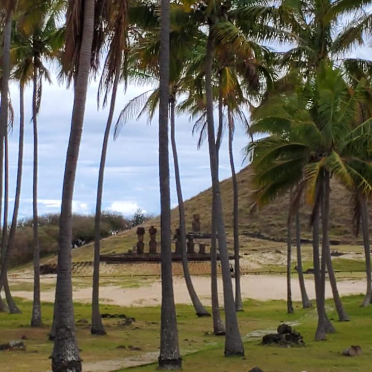 Villa Maori Tea Rapa Nui, Easter Island with ocean view - Villa de 2 dormitorios - 22