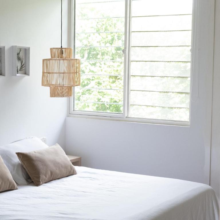 Finca Hotel Santana - Standard Double Room - 10