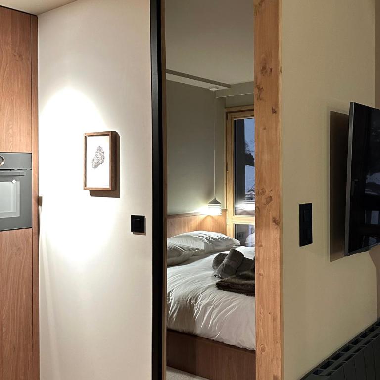 Les Barmettes Appart rénové avec vue, parking et skis aux pieds - Apartment mit 2 Schlafzimmern - 9