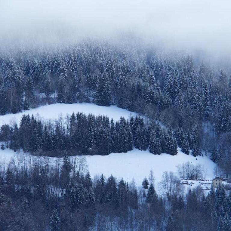 Chalet montagne Savoie Domaine Skiable Valmorel - Maison 3 Chambres - 12