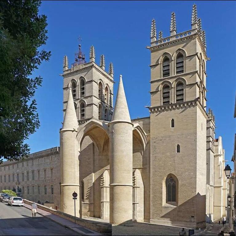 Appartement moderne et lumineux- Montpellier centre - Apartamento de 2 dormitorios - 14