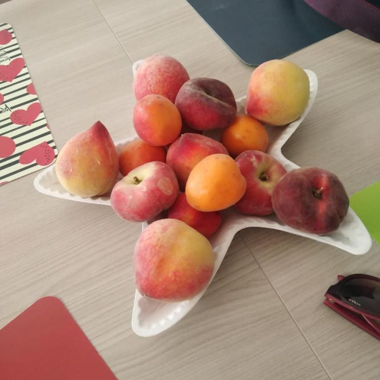 A casa di nonno Pippo - Casa Vacanze - 29