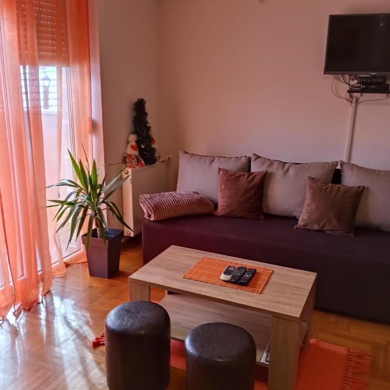 Apartman Radmanovac - Četvorokrevetna Soba sa Balkonom - 7