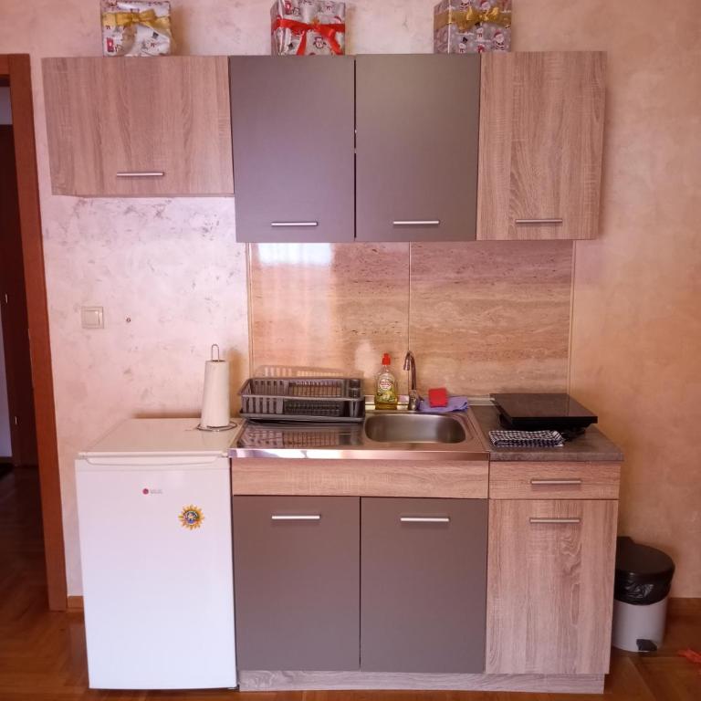 Apartman Radmanovac - Četvorokrevetna Soba sa Balkonom - 10