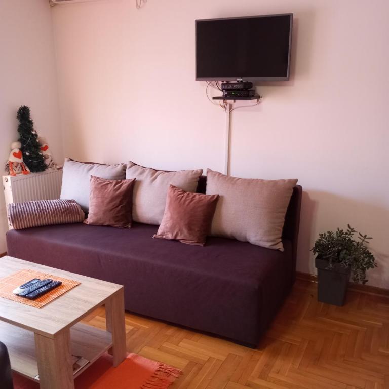Apartman Radmanovac - Četvorokrevetna Soba sa Balkonom - 5