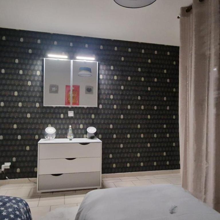Appartement cosy spacieux parking gratuit en face - Apartment mit 1 Schlafzimmer - 29