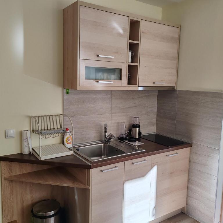 Villa Zvončica, Apartman ViN - One-Bedroom Apartment - 9