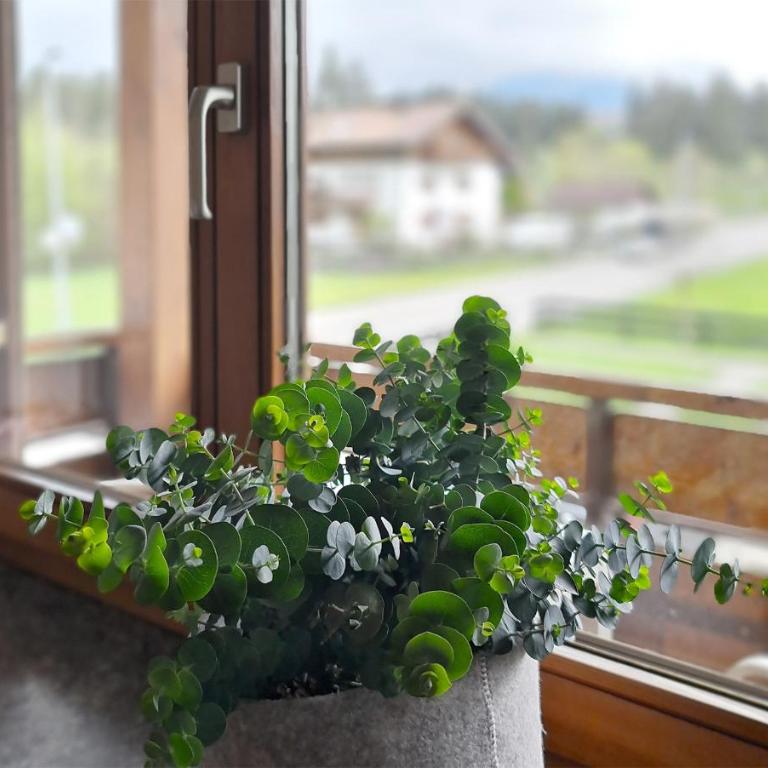 Goldvogel Apartments - Apartment mit 1 Schlafzimmer und Dusche - 15